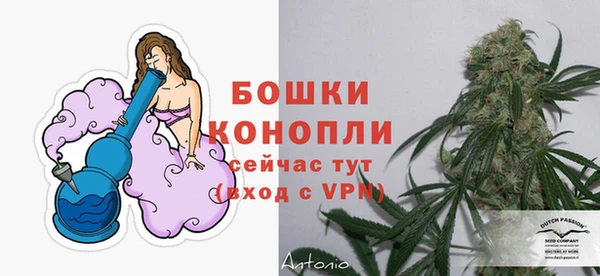 mdpv Медвежьегорск