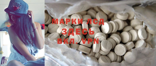 крисы Мегион
