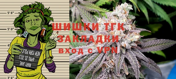 индика Михайловск