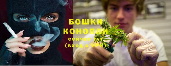 индика Михайловск