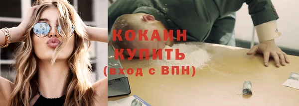 индика Михайловск