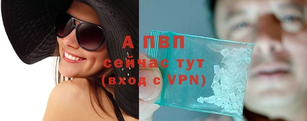 крисы Мегион