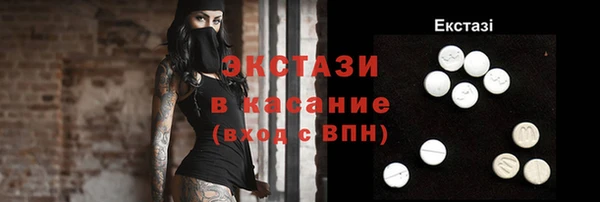индика Михайловск