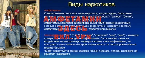индика Михайловск