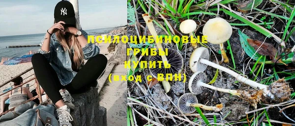 индика Михайловск