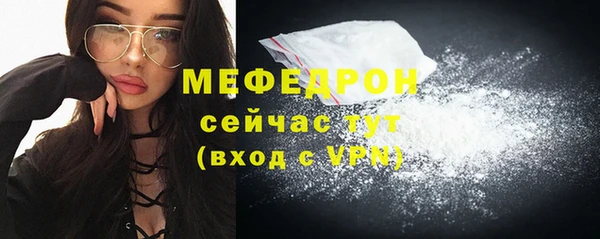 индика Михайловск