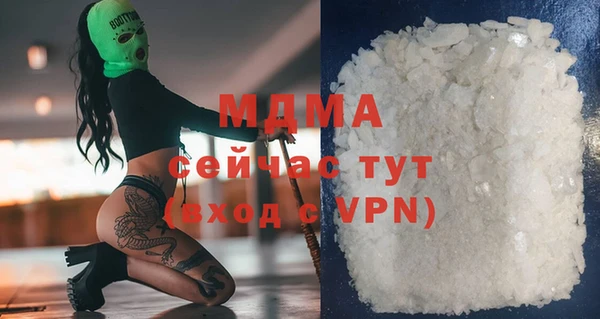 индика Михайловск