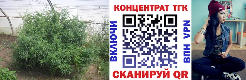 Дистиллят ТГК гашишное масло  Тотьма 